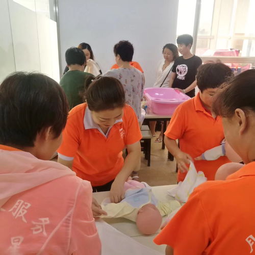 天津專業培訓課程指南 營養師、月嫂與催乳師培訓選擇與價格解析